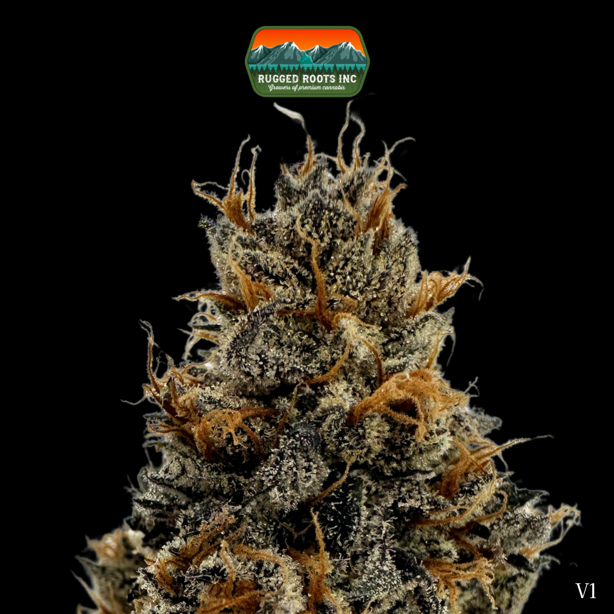 Photograph of product: Rugged Roots | Pineapple OG 3.5g