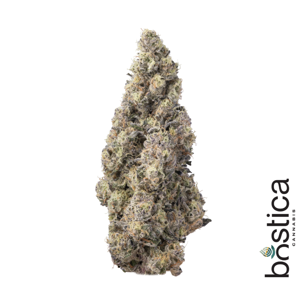 Photograph of product: Gush Mints Bostica | 3.5G