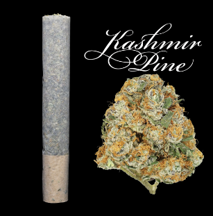Photograph of product: Kashmir Pine Pre-Roll (1g)