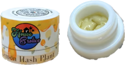 Photograph of product: House Exotics - Live au chocolat Rosin - Modified Banana (I) (1g)