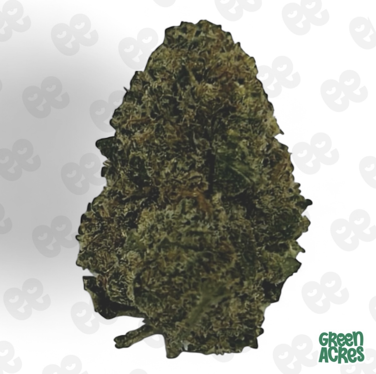 Photograph of product: (R) Panda: Apple Fritter (H) - 28g
