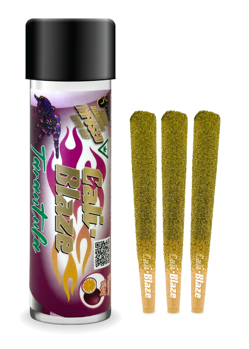 Photograph of product: Cali Blaze - Passion Fruit - (3x1g) Infused Tarantula Pre-Rolls