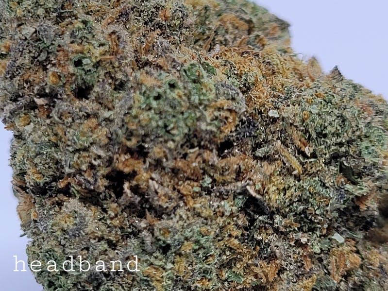 Photograph of product: Headband 27% by Orbit