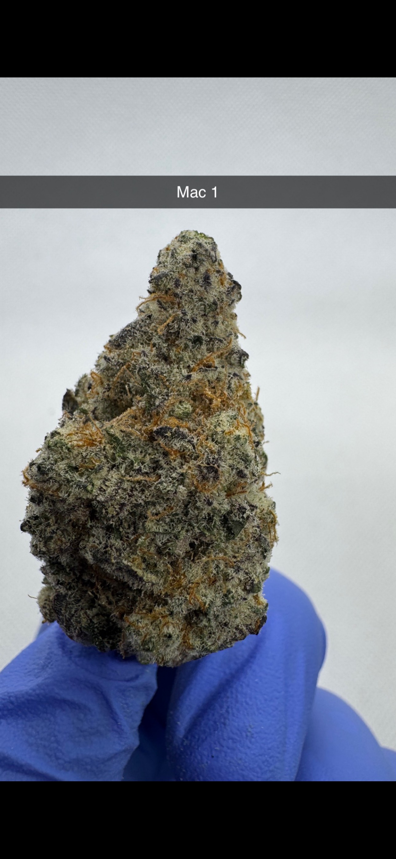 Photograph of product: MAC 1 - Flower - Hybrid - 28g