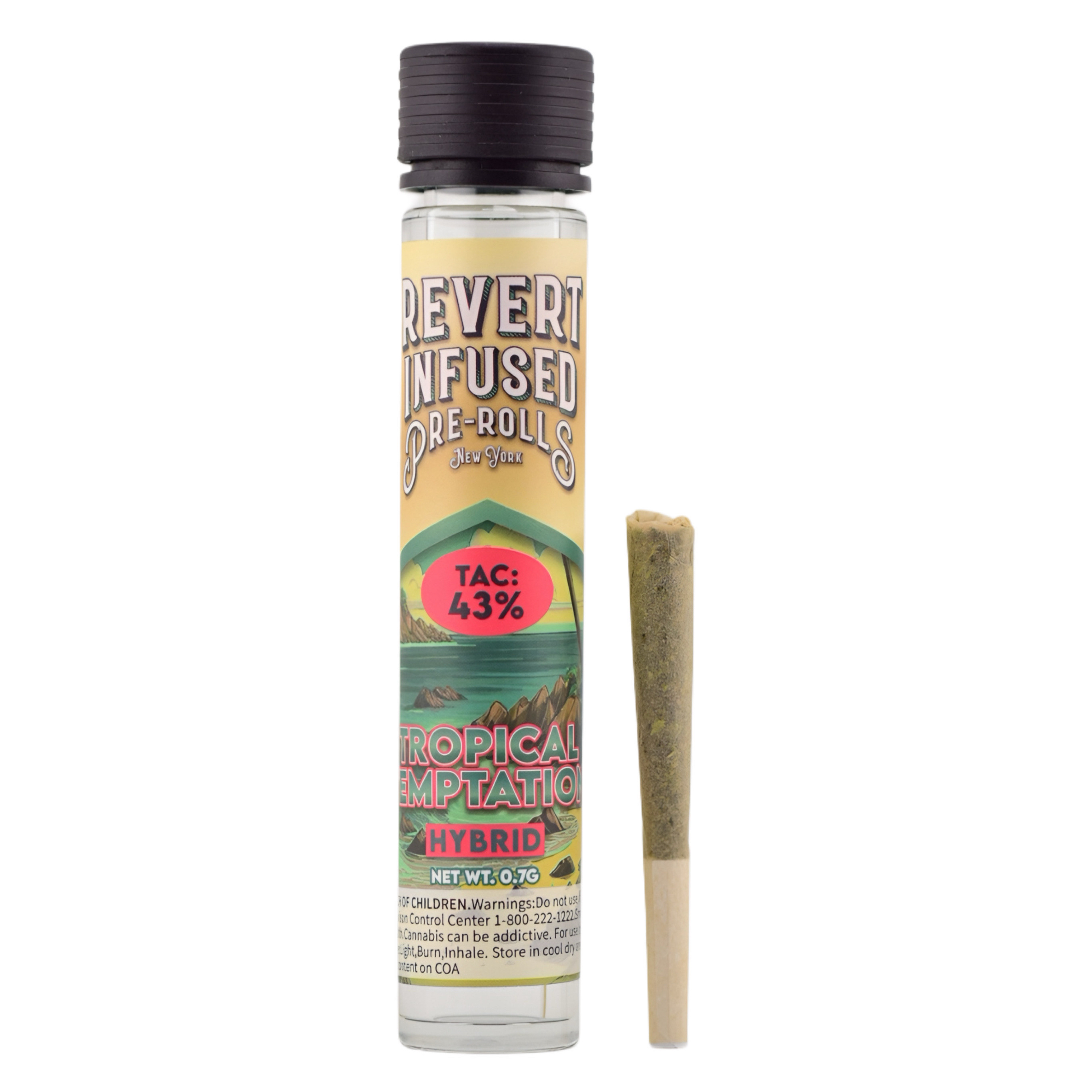 Photograph of product: Tropical Temptation | Infused | Single