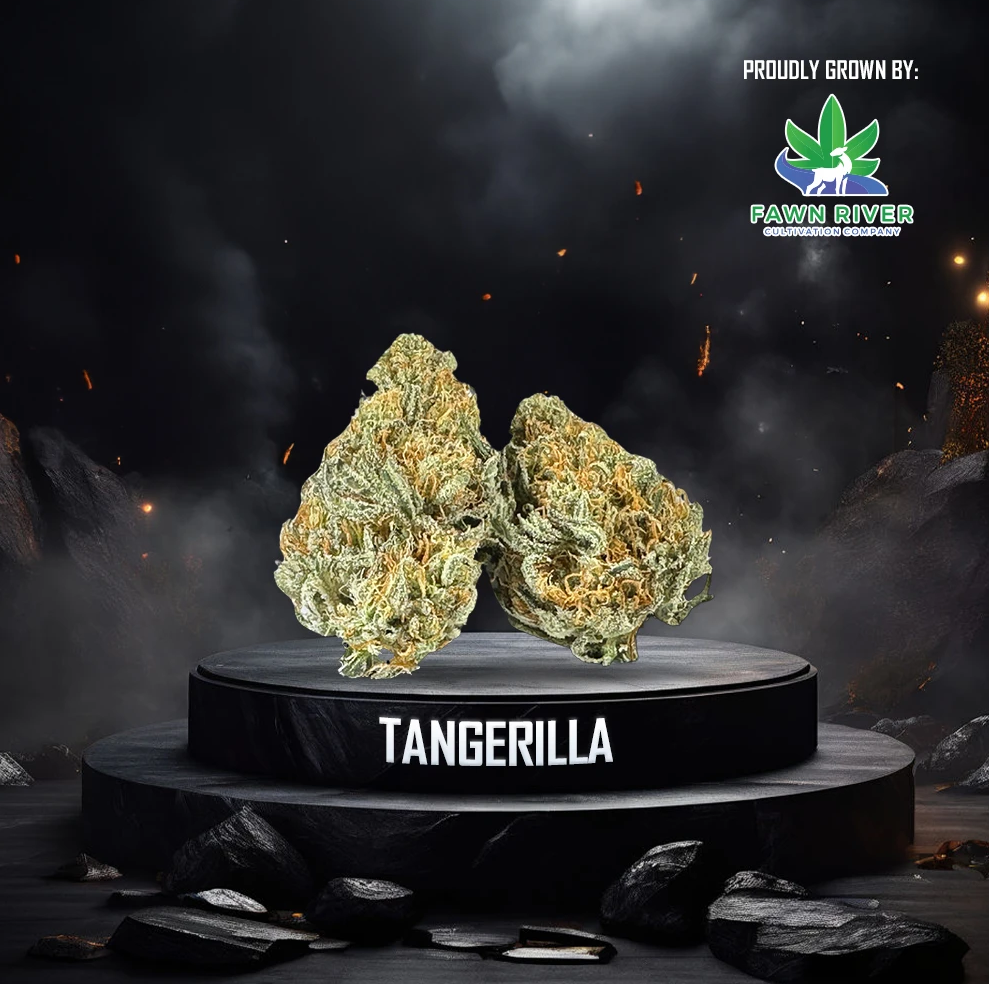 Photograph of Product: Tangerilla - Silver Tier - Hybrid - 2g