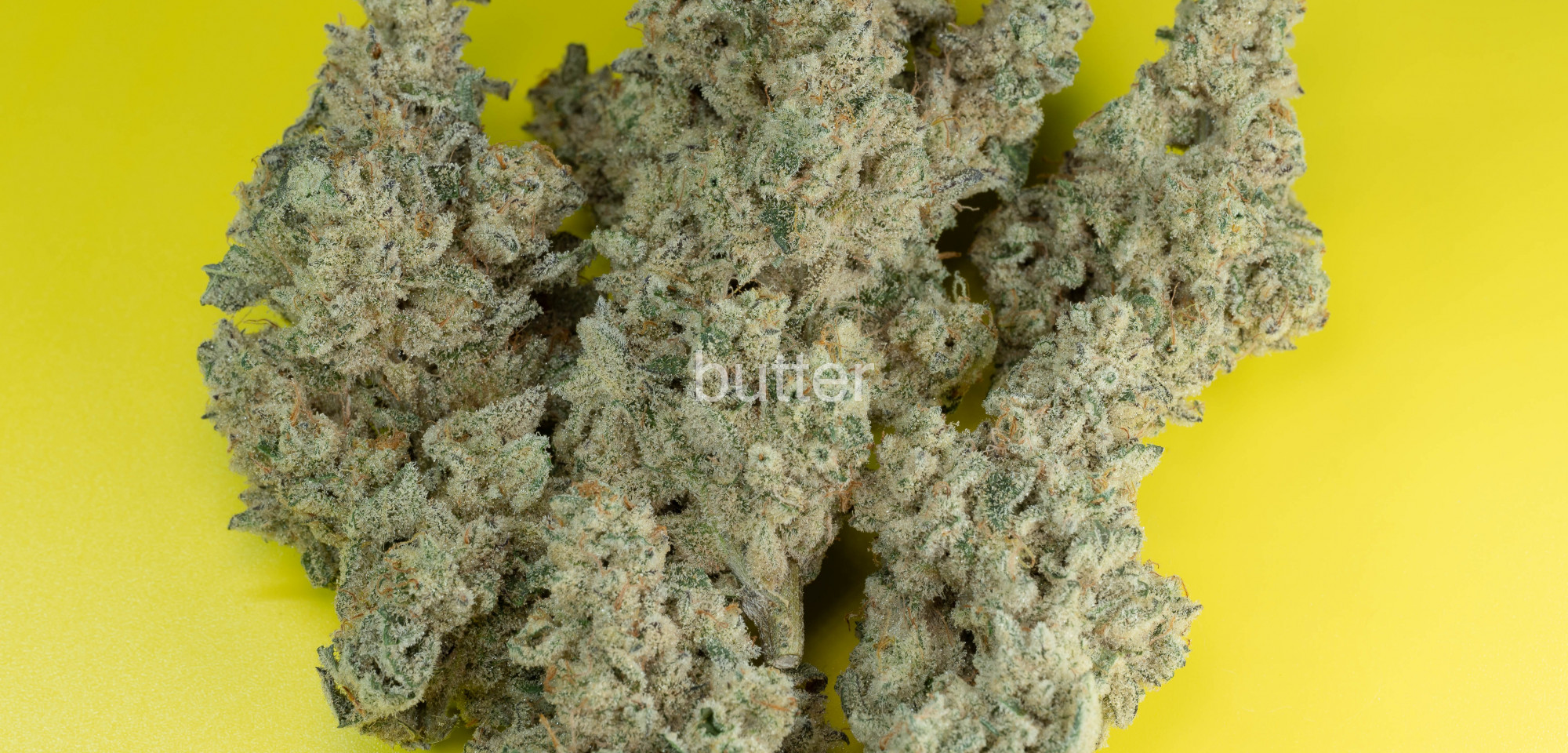 Photograph of product: Alien Cookies X Kush Mints #11 | Deli - 28g