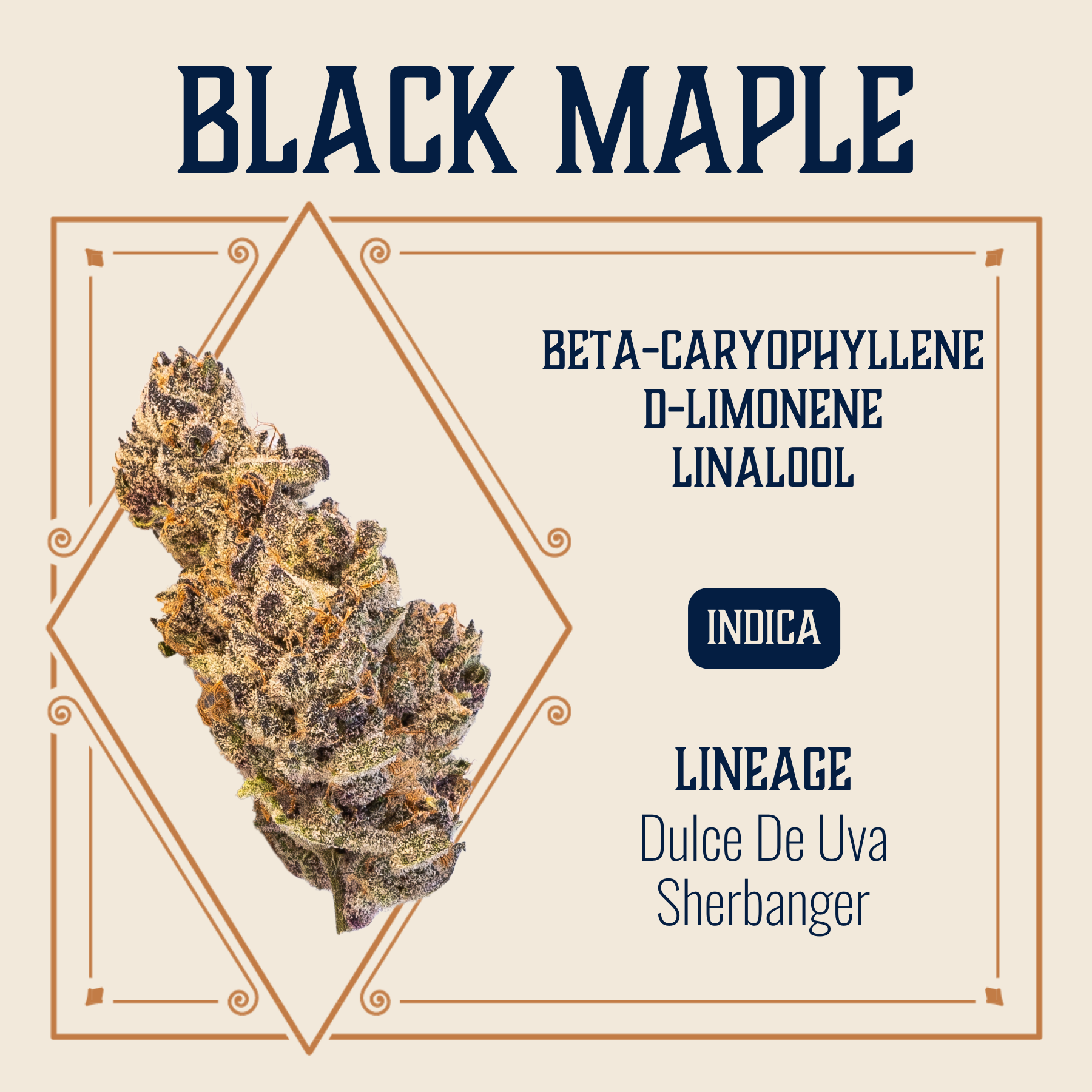 Photograph of product: BLACK MAPLE 3.5G