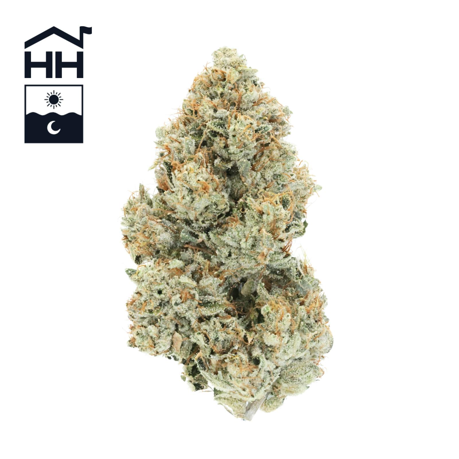 Photograph of product: Motorbreath | 3.5g