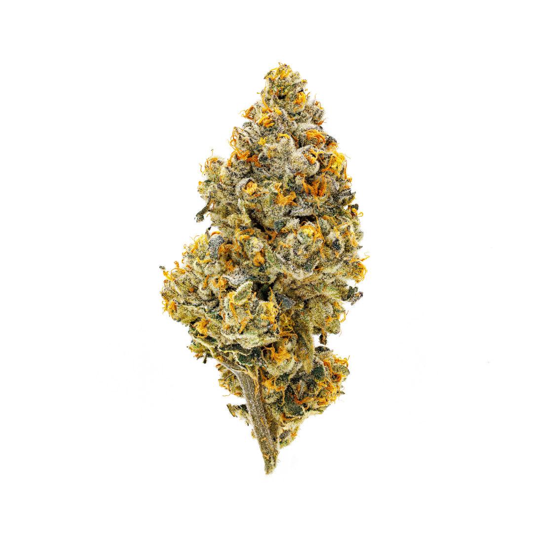Photograph of product: Umamii 3.5G Jar Gary Payton Hybrid 24.20%TH-oui