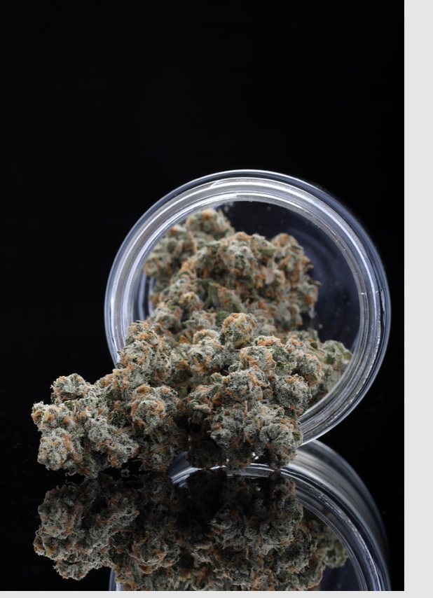 Photograph of Product: Jack Herer - 2g