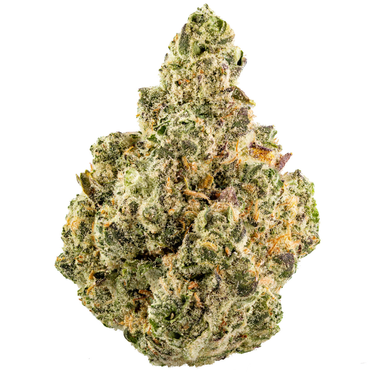 Photograph of product: Root Beer Slushie Flower | 3.5g - Smyth