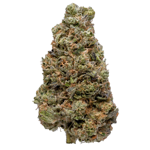 Photograph of product: HOG Oui'd Bully Kush 28g