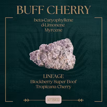 Photograph of product: Peak Buff Cherry Preroll 6pk | 3.5g