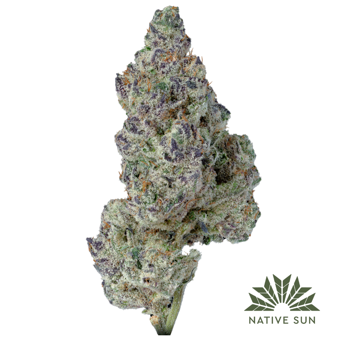 Photograph of product: Southie Sunset | Flower | 3.5g