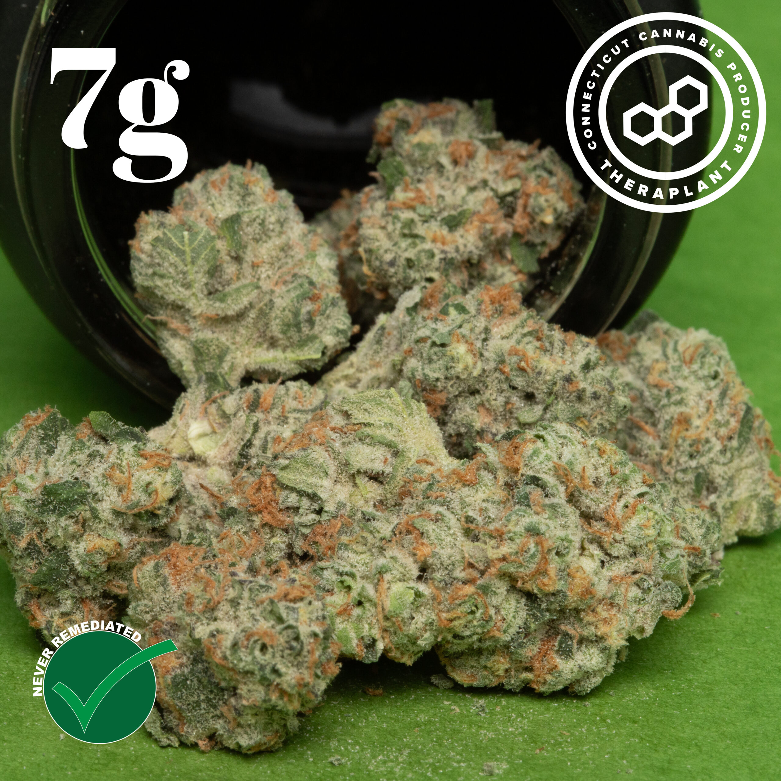 Photograph of product: Theraplant Green G Whole Flower 24.54% (H) 7g - 01092