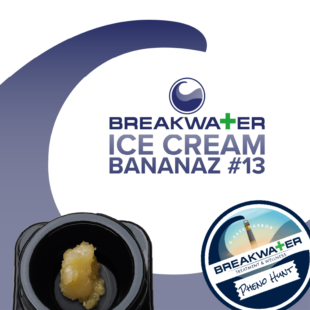 Photograph of product: Ice Cream Bananaz #13 Live au chocolat Rosin