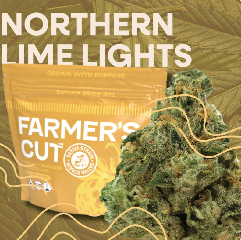Photograph of product: Northern Lime Lights Flower | 3.5g - Farmer's Cut