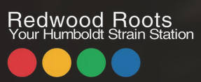 Photograph of product: Redwood Roots - Whitethorn Rose - - Outdoor - Hybrid - 3.5g