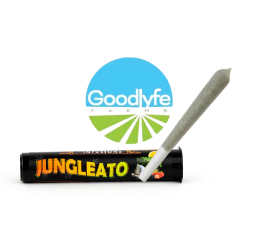 Photograph of product: JUNGLEATO | INFUSED PREROLL