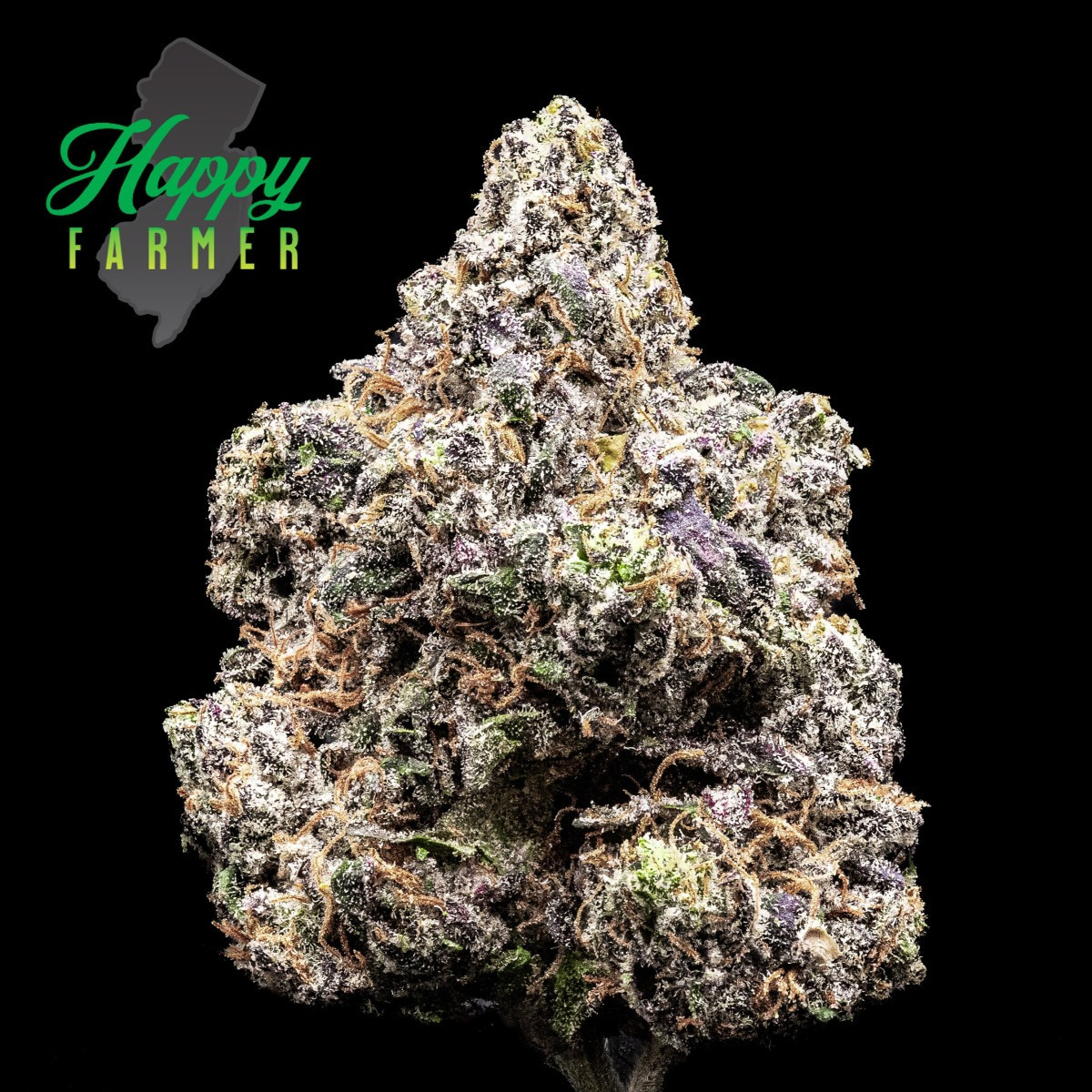 Photograph of product: Flower | Whole Bud | Red Velvet Gary | 3.5g
