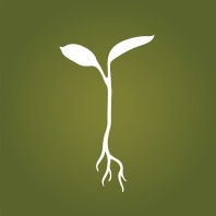 Photograph of product: CARBON FIBER 1G LIVE ROSIN