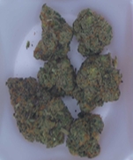 Photograph of product: GruV | 14g | Jungle Punch