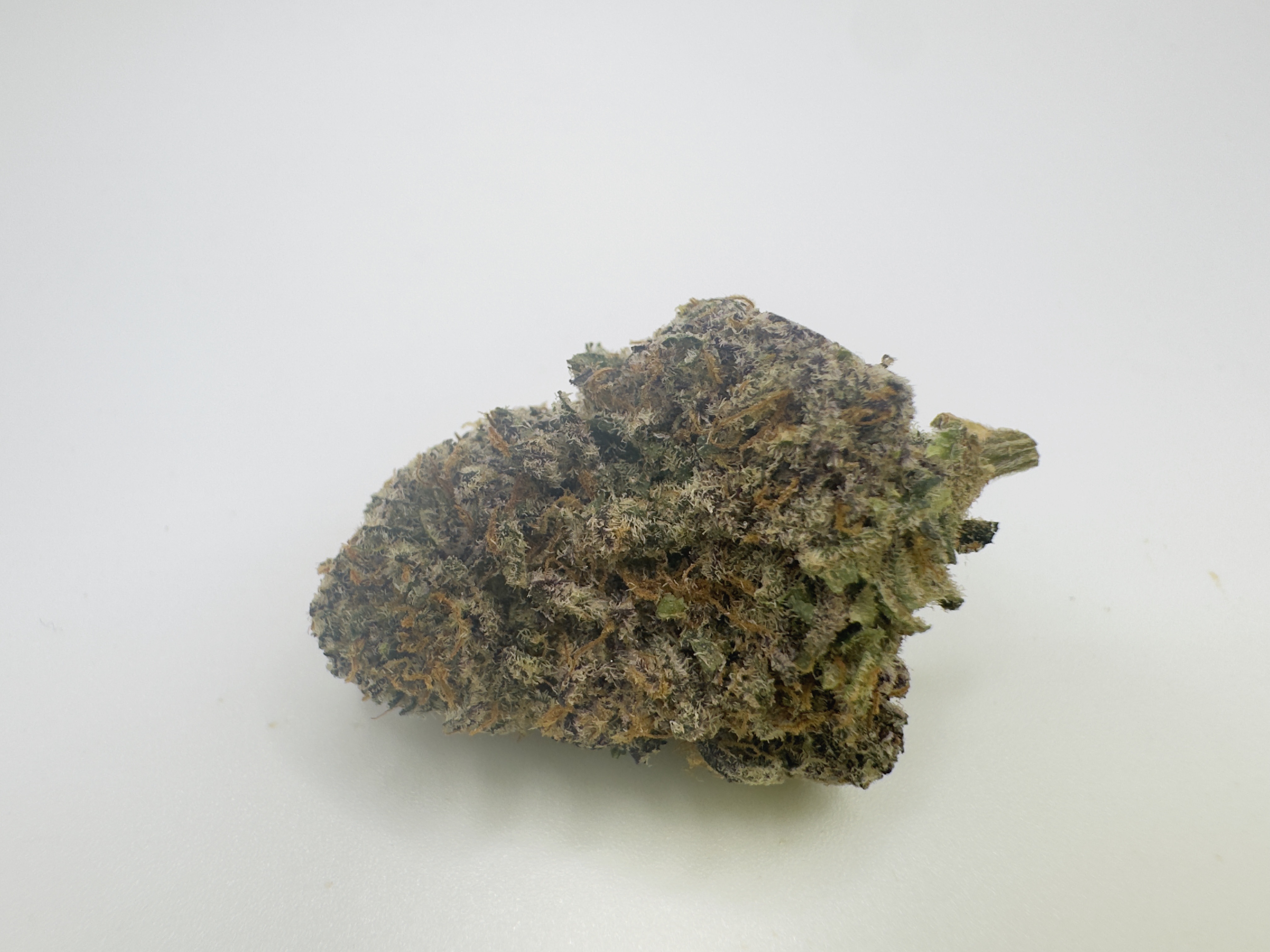 Photograph of product: Ready Whip - Indoor - Pre-Packs - 28g