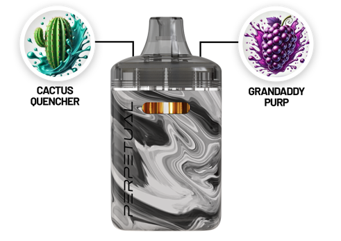 Photograph of product: Cactus Quencher & Grand Daddy Purp - Duo Disposable Pen - 2.0g