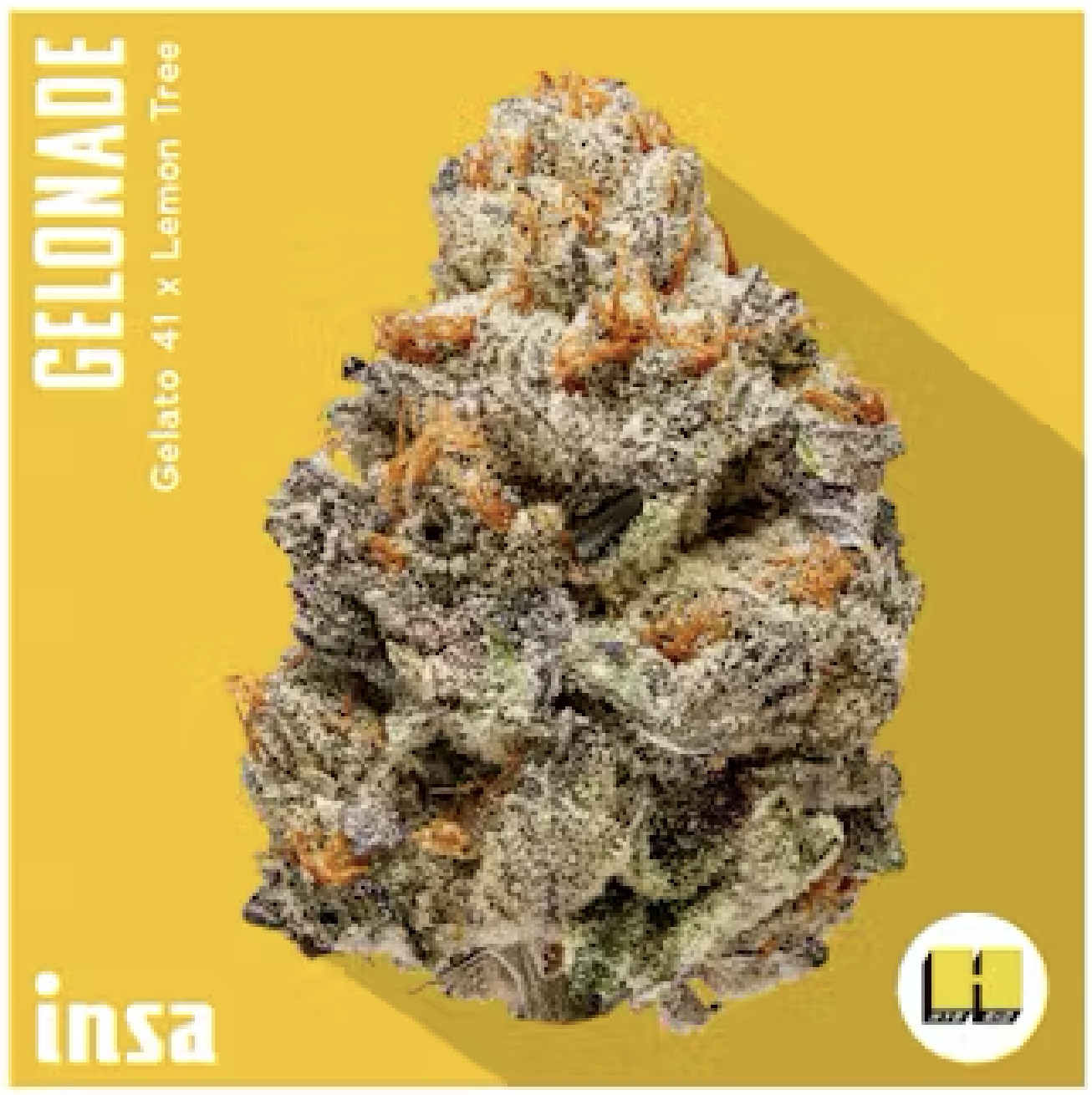 Photograph of product: Gelonade Flower | 3.5G | INSA