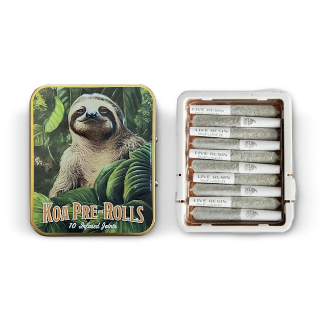 Photograph of product: Runtz X Chemdawg Infused 10pk - 