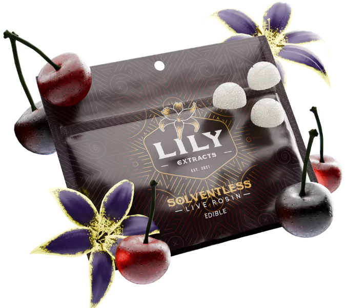 Photograph of product: Lily Extracts - Raspberry Cherry Limeade Live Rosin Pectin Chews - 100mg (10pcs)
