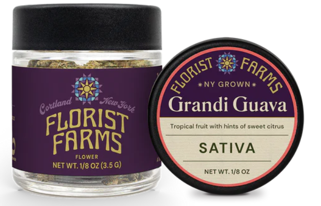 Photograph of product: Florist Farms | Grandi Guava | Hybrid | 3.5g
