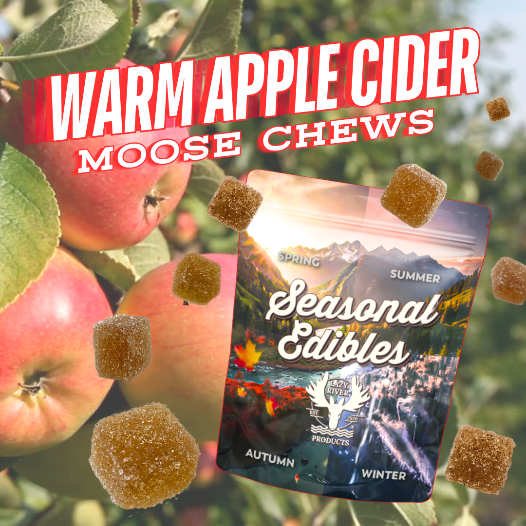 Photograph of product: Warm Apple Cider Gummies - Standard Onset 10pk (TAX INCLUDED) (EXPIRING SOON)