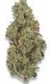 Photograph of product: Jungle Scout Popcorn - 14g