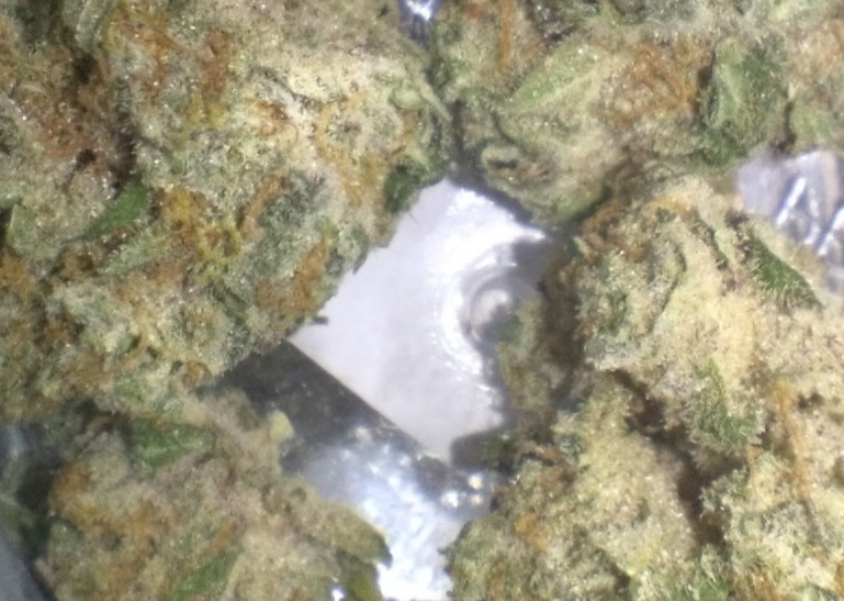 Photograph of product: Revolution Cookie Dos 3.5g Hybrid Flower