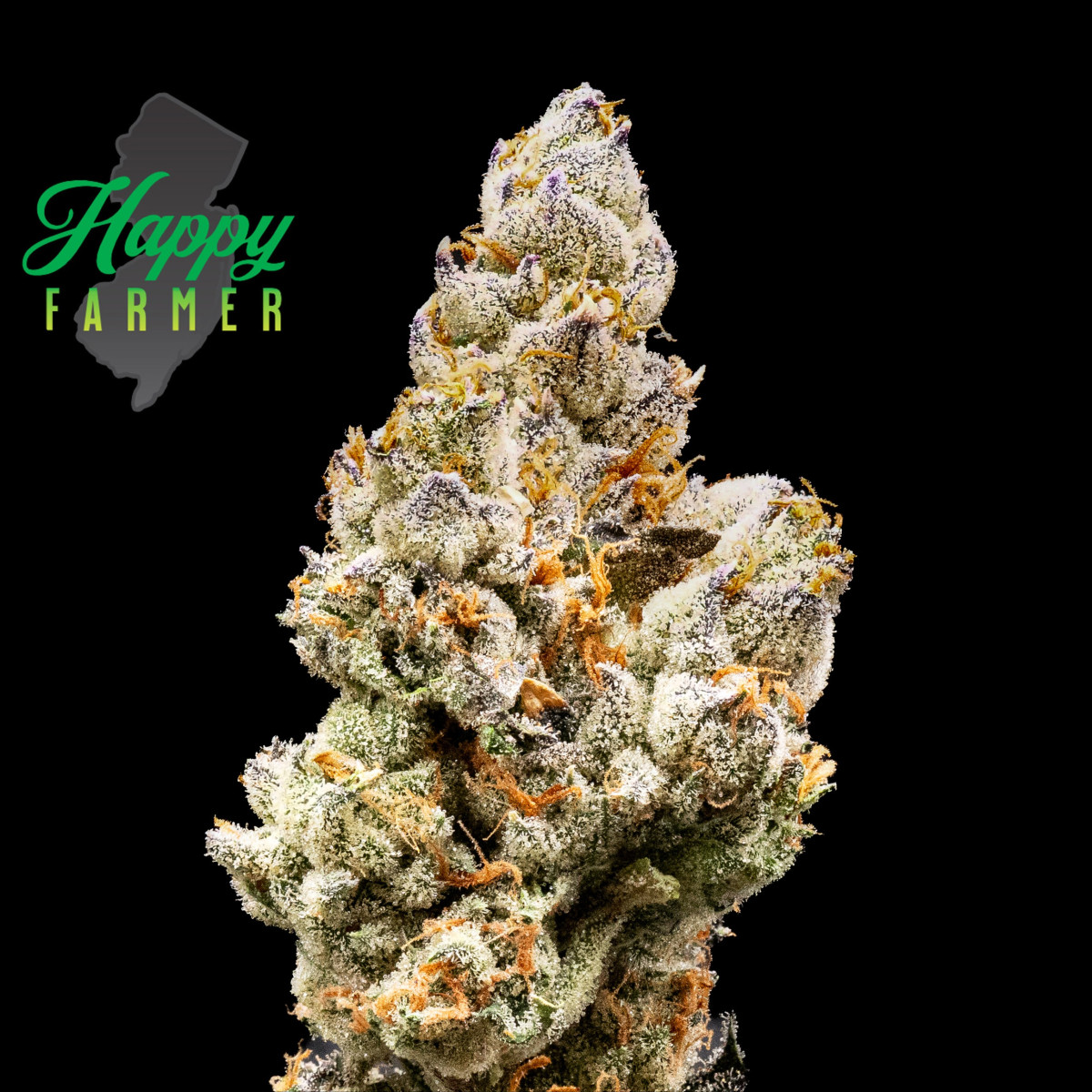Photograph of product: Gunpowder Milkshake - 3.5g