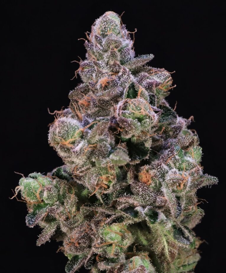 Photograph of product: Blueberry Swirl | 7g