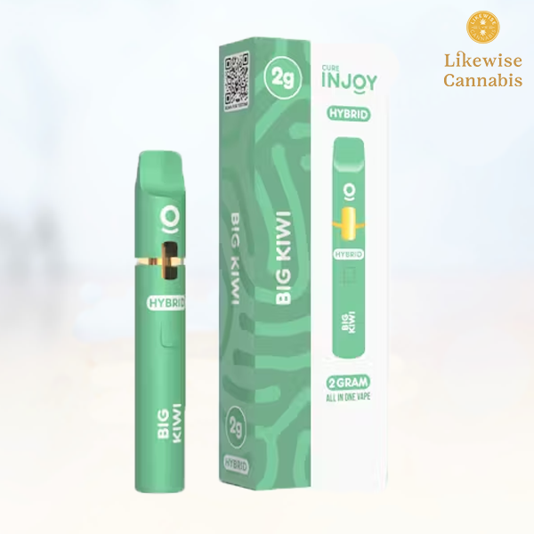 Photograph of Product: BIG KIWI  2G OIL DISPOSABLE