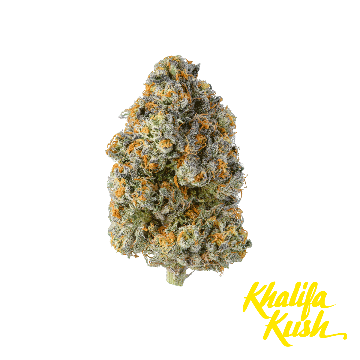Photograph of product: Khalifa Kush | Baby Turtle - 3.5g