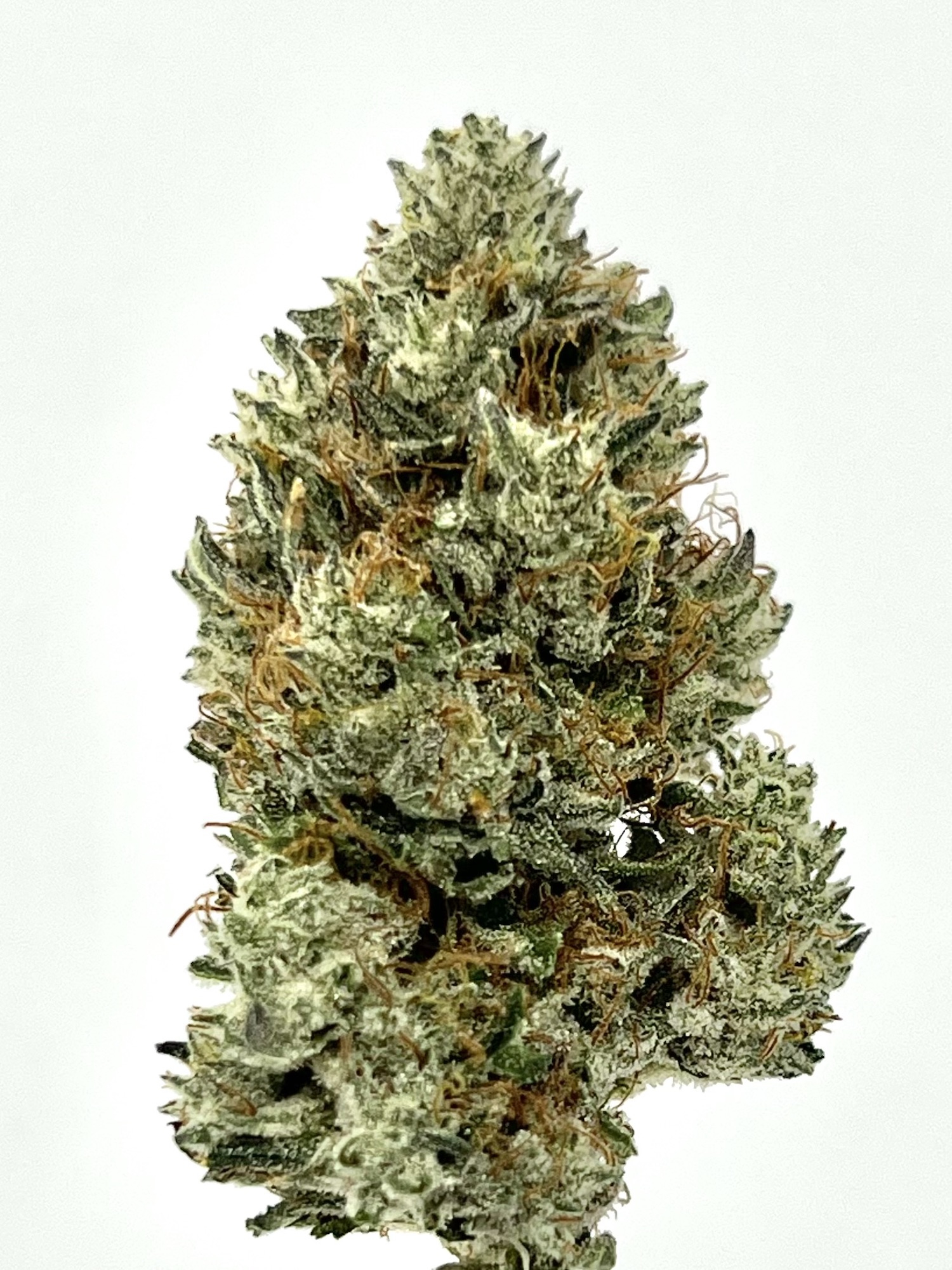 Photograph of product: Ironlung - Midnight Mass (3.5G)