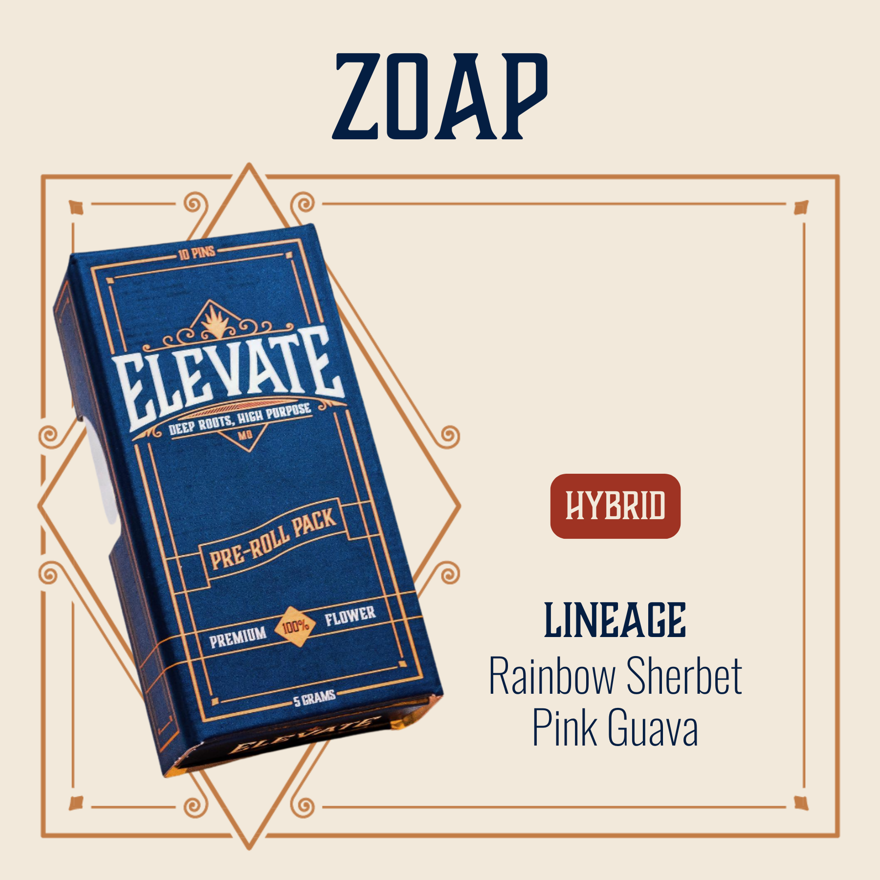 Photograph of product: Zoap Pins Pre-Roll | 10-pack