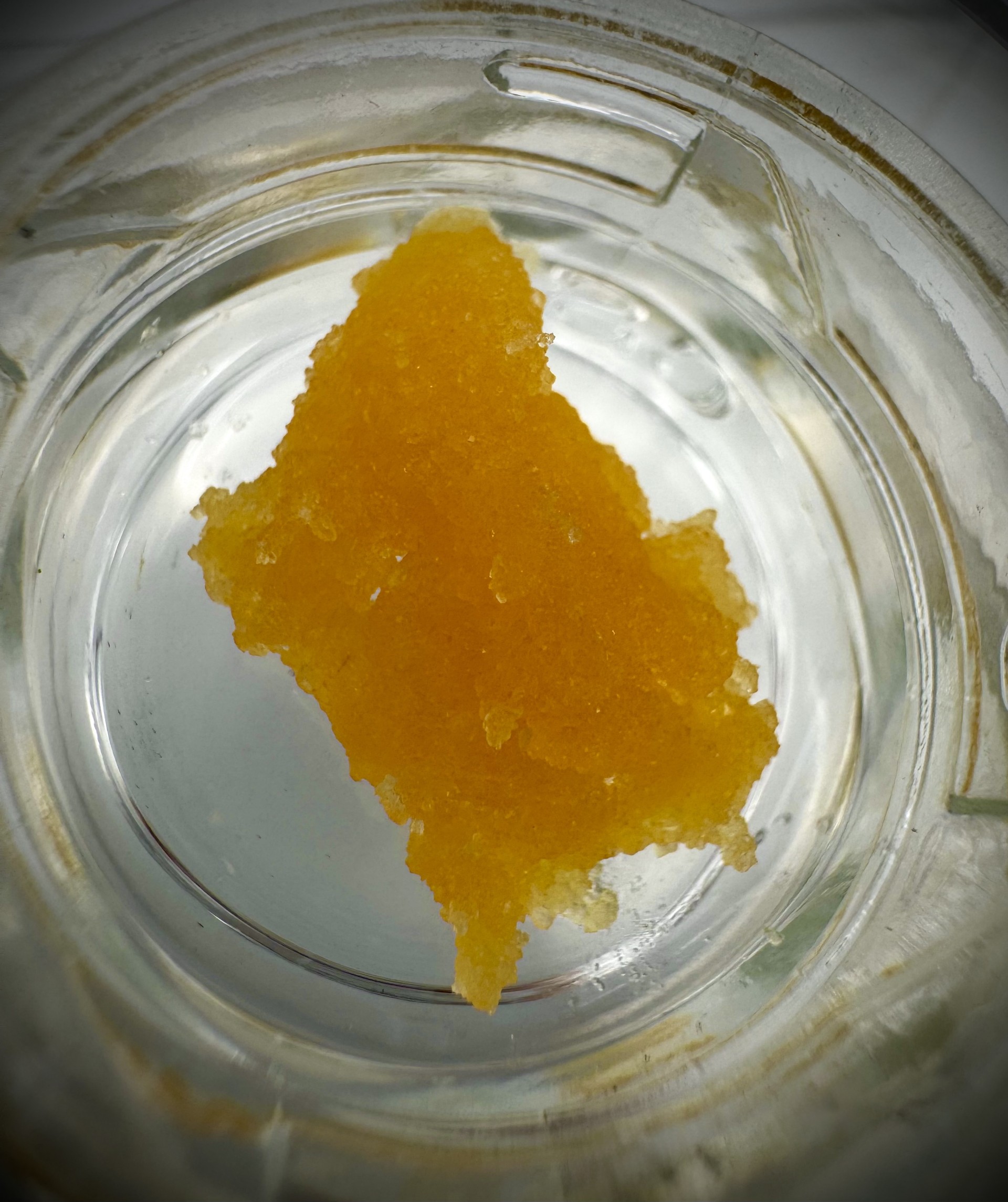 Photograph of product: GMO Milk | Oui'd | Cured Resin - Caviar