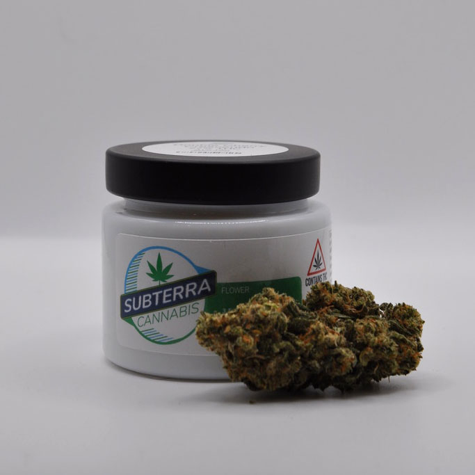 Photograph of Product: Double Cherry Crescendo | 3.5g Flower