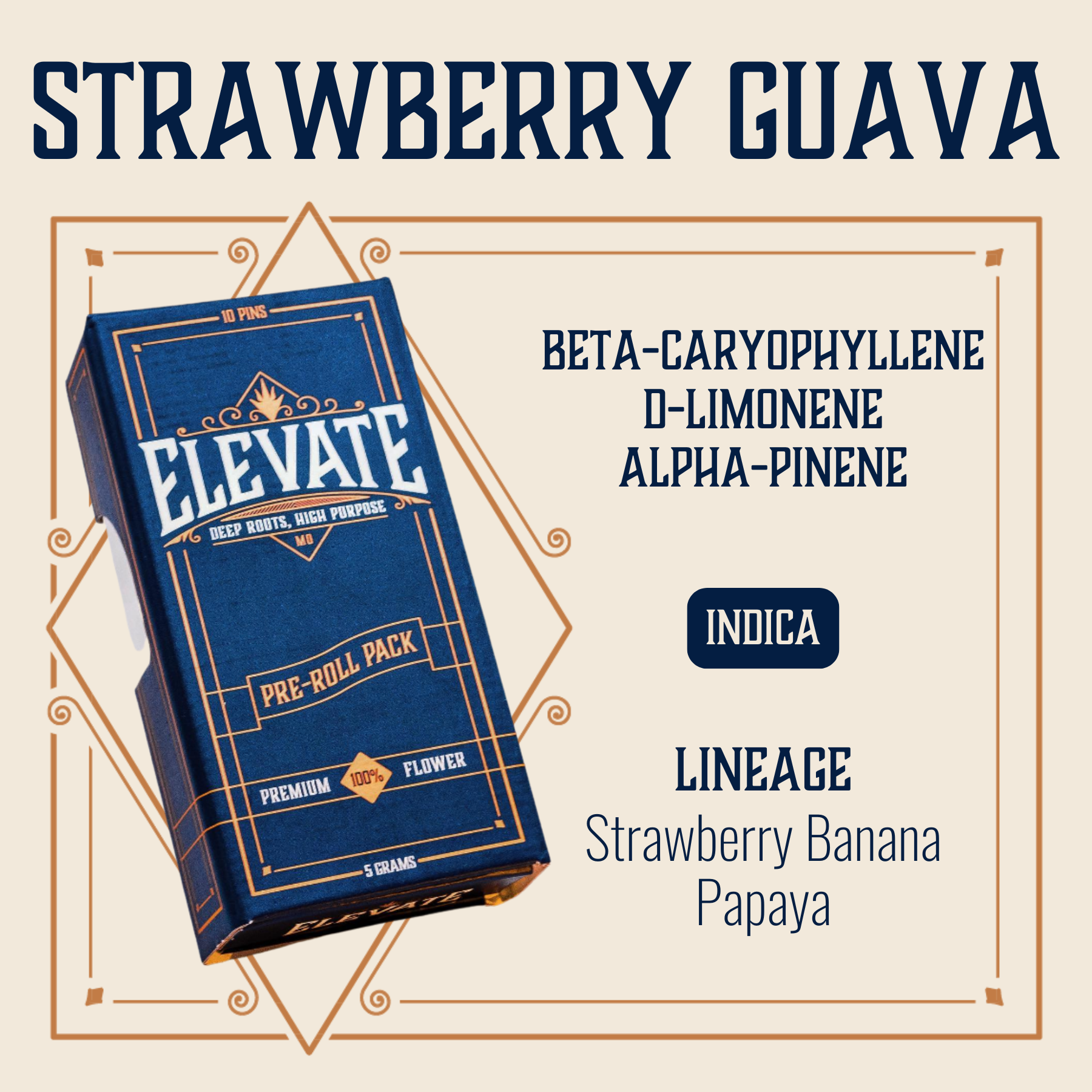 Photograph of product: Strawberry Guava Pins Pre-Roll | 10-pack