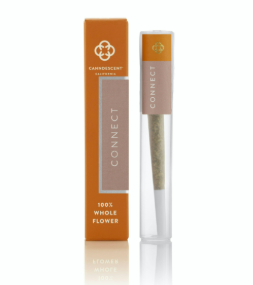 Photograph of product: "Connect" PK Runtz - Preroll-1g
