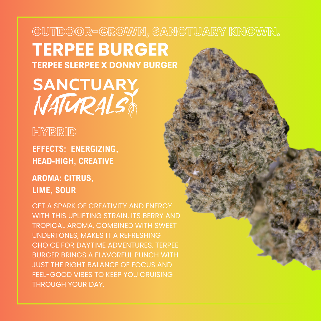 Photograph of product: Sanctuary Naturals 3.5g Terpee Burger