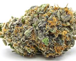 Photograph of product: Michigan Green Magic | Jealousy | Bulk Flower - 28g