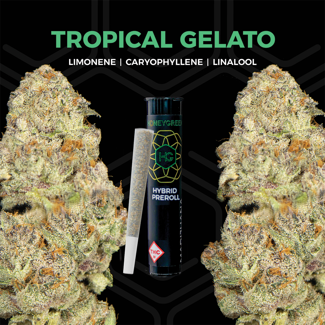 Photograph of product: Tropical Gelato - Pre-roll - 1g