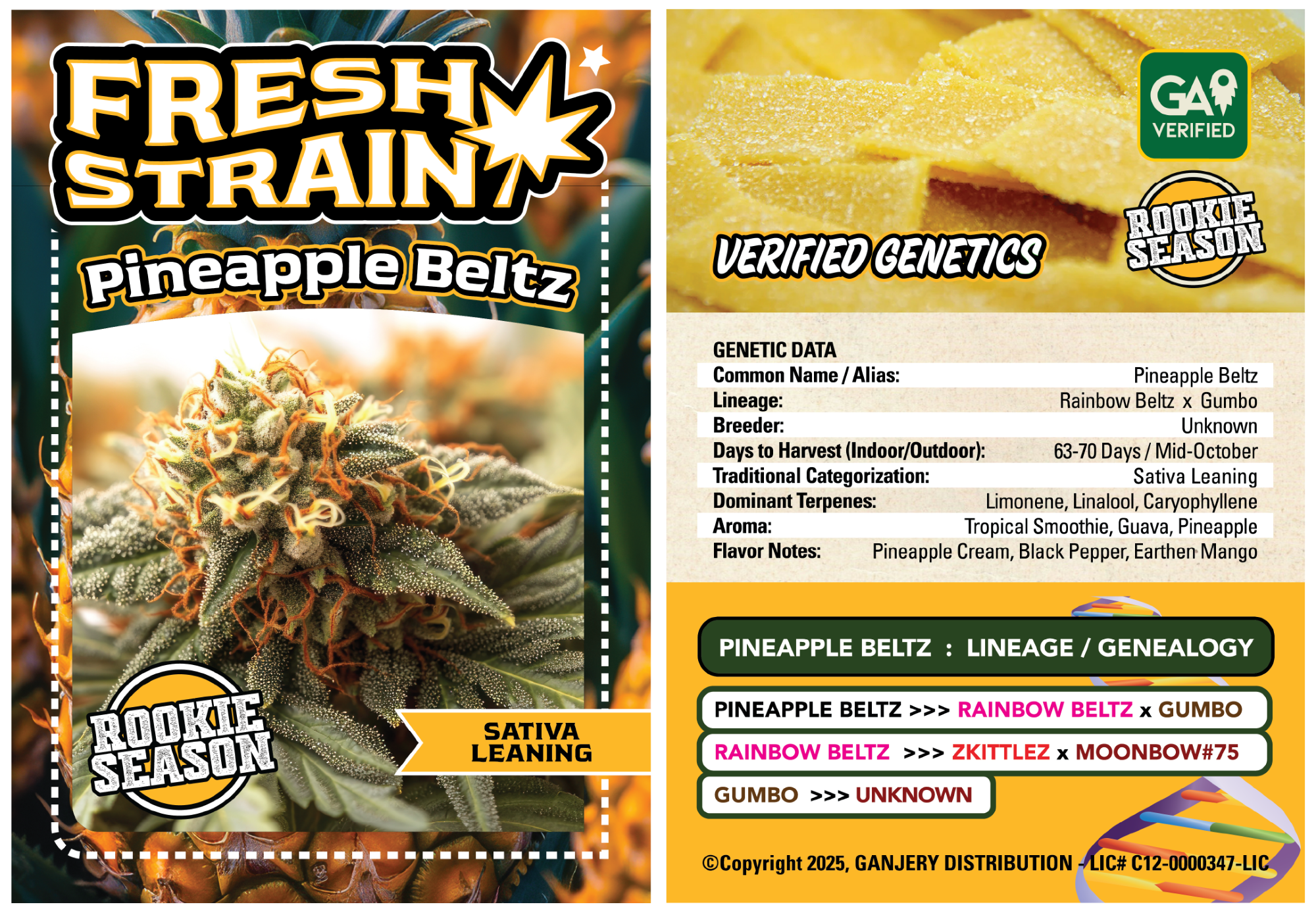 Photograph of product: Pineapple Beltz - 3.5g (SH) - Fresh Strain